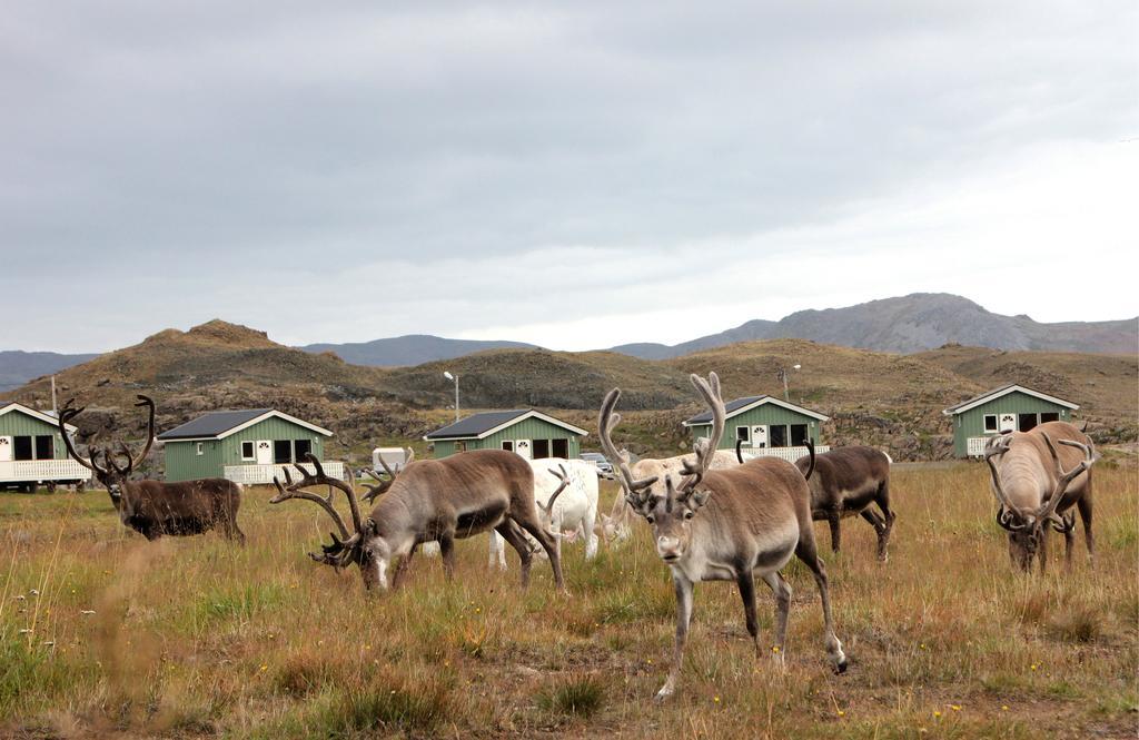Nordkapp Camping Гоннінґсвоґ Номер фото