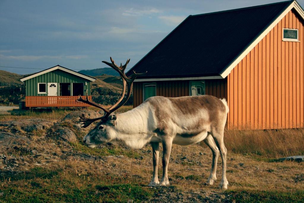 Nordkapp Camping Гоннінґсвоґ Екстер'єр фото
