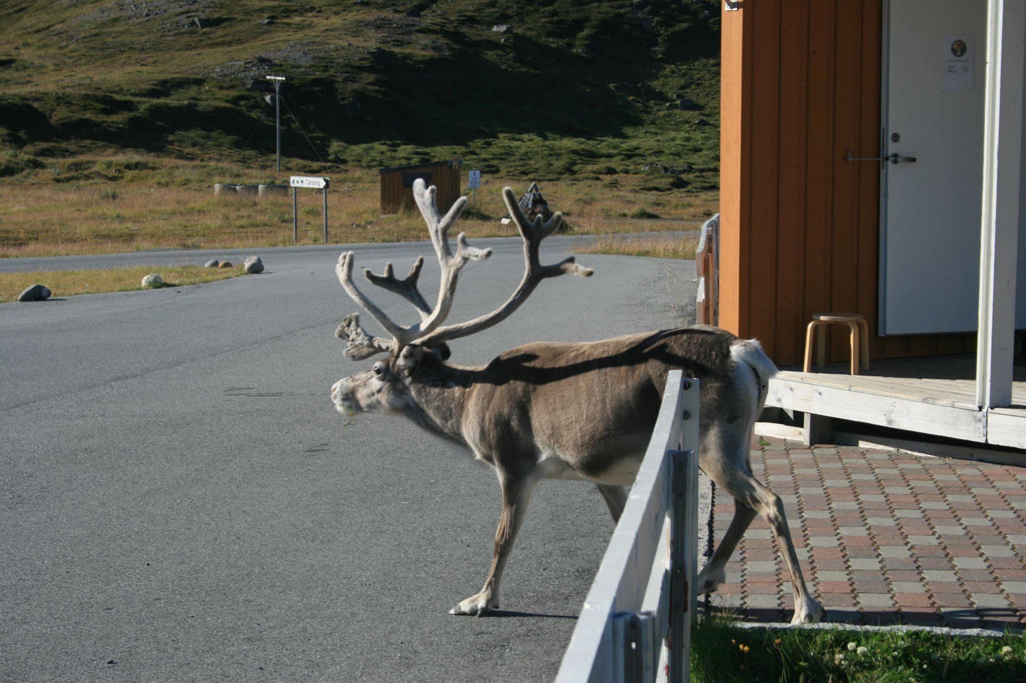 Nordkapp Camping Гоннінґсвоґ Екстер'єр фото